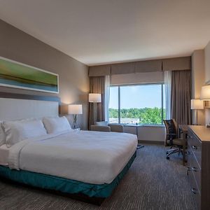King Room Disability Access